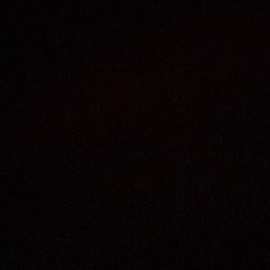 Meet your Posher, Brady